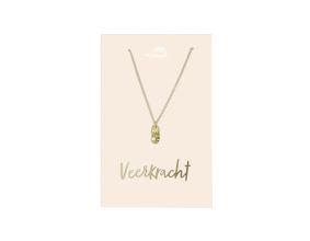 Ketting - Veerkracht