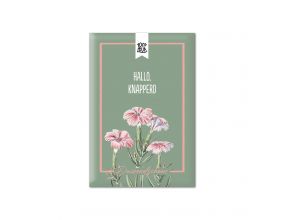 Bloemenzaadjes - Hallo. Knapperd - Duizendschoon