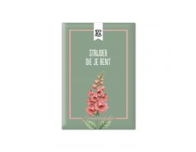 Bloemenzaadjes - Strijder die je bent - Leeuwenbekje